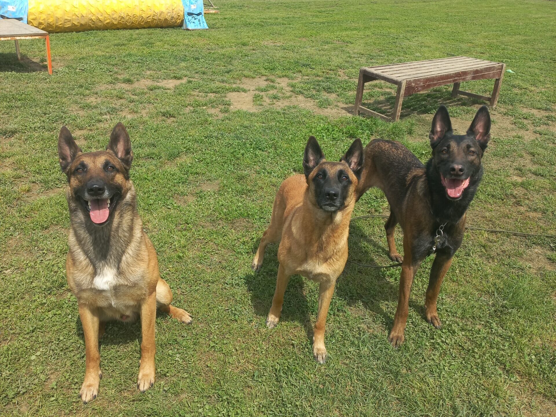 Killian, Bellatrix e Kira